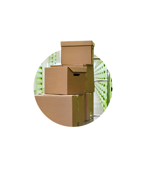 BOX4BOX